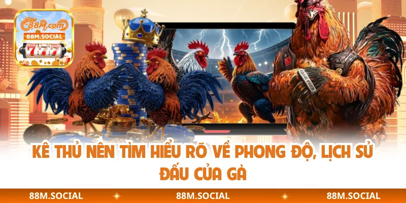 Kê thủ nên tìm hiểu rõ về phong độ, lịch sử đấu của gà