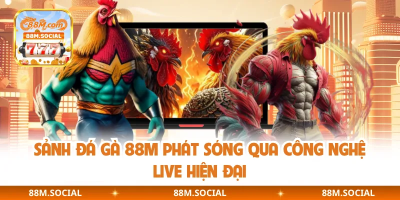 Sảnh đá gà 88M phát sóng qua công nghệ live hiện đại
